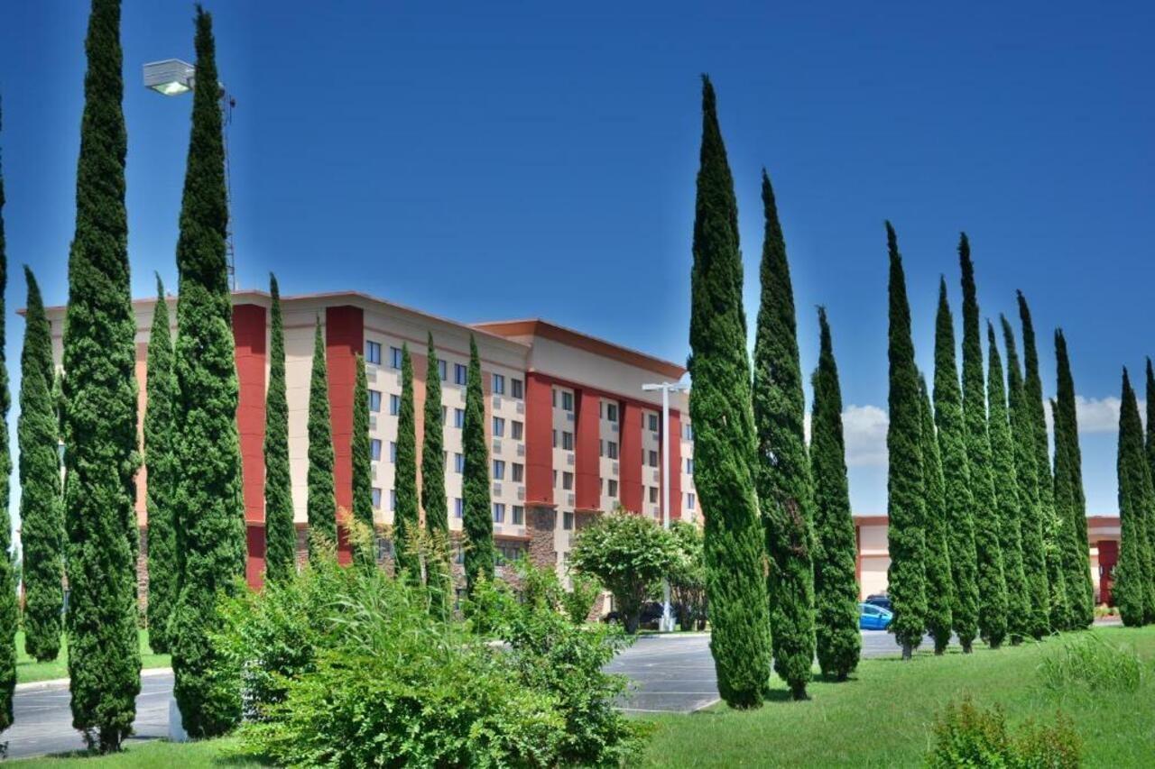 Lux Hotel & Spa, Trademark Collection By Wyndham Arlington Ngoại thất bức ảnh